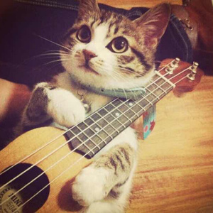 临沂螺杆空压机厂家用小鲤营销导航
